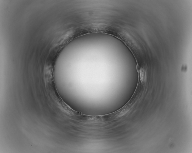 X0000090441107200707272148