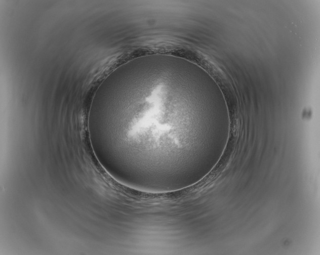 X0000090441108200707272148