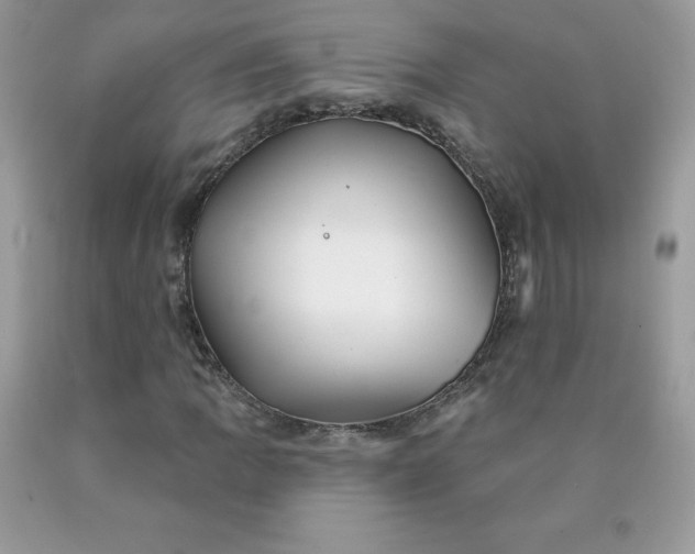 X0000090441109200707272148