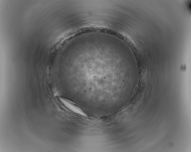 X0000090441110200707272148