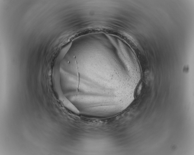 X0000090441111200707272148