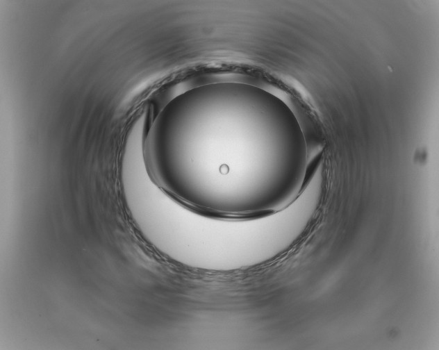 X0000090441112200707272148