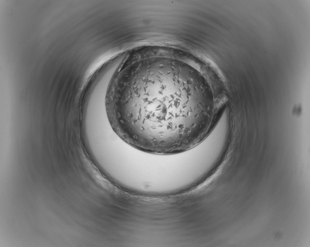 X0000090441114200707272148