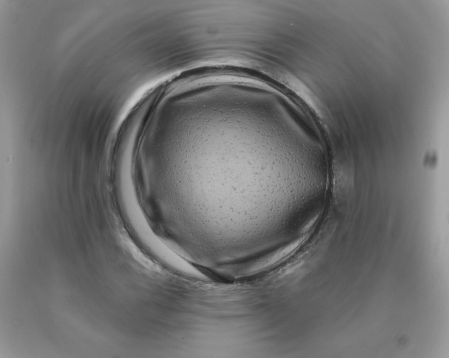 X0000090441116200707272148