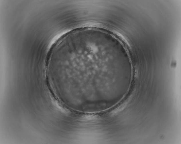 X0000090441117200707272148