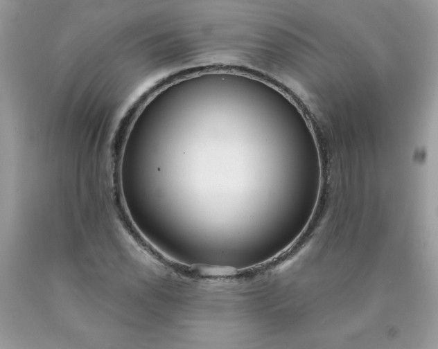 X0000090441118200707272148