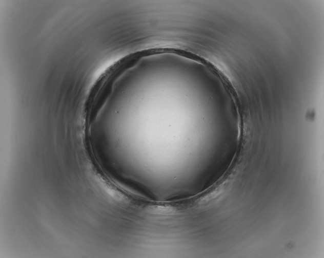 X0000090441119200707272148