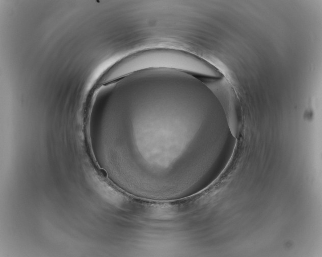 X0000090441120200707272148