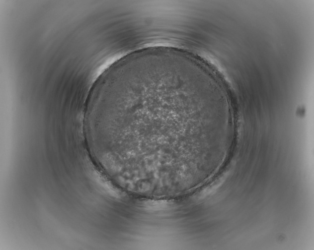 X0000090441121200707272148