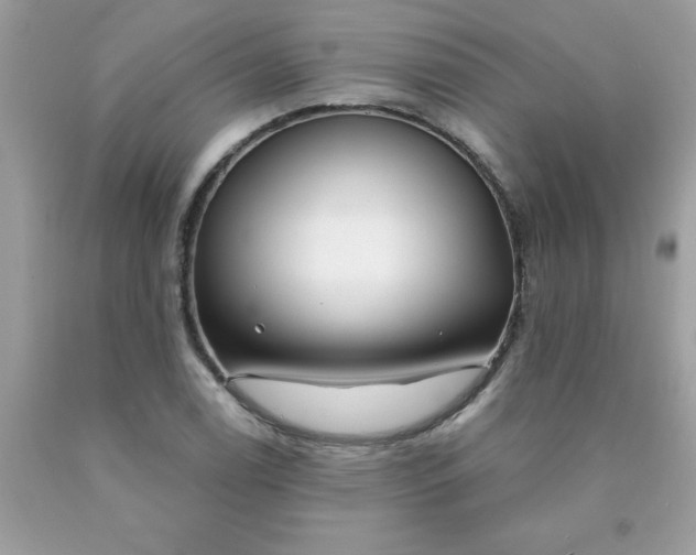 X0000090441122200707272149