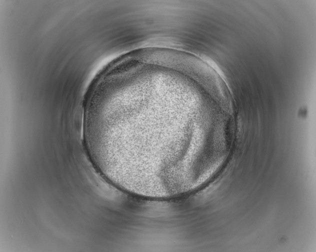 X0000090441123200707272149