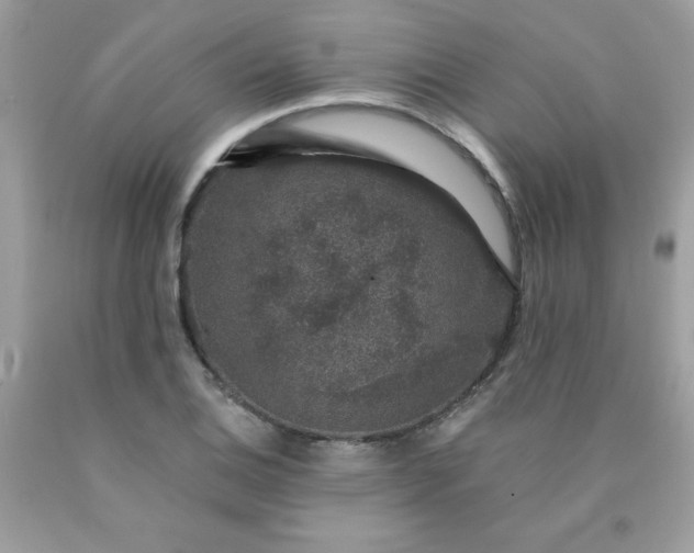 X0000090441124200707272149