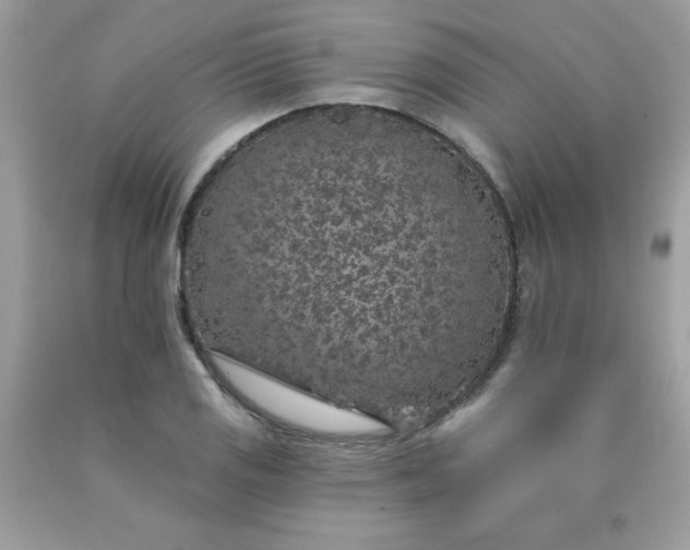 X0000090441125200707272149