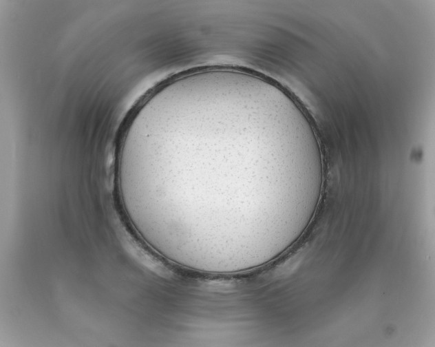 X0000090441126200707272149