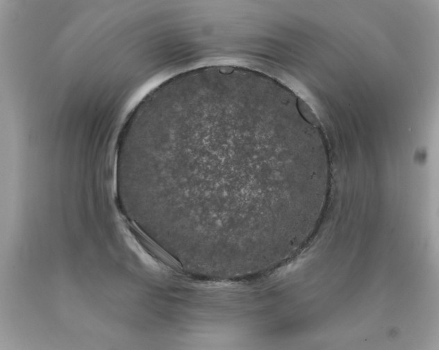 X0000090441127200707272149