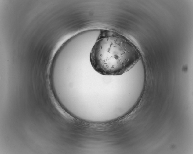 X0000090441128200707272149