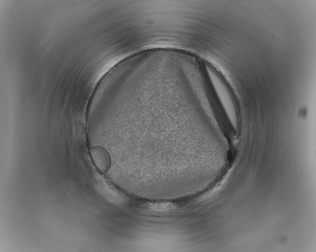 X0000090441129200707272149