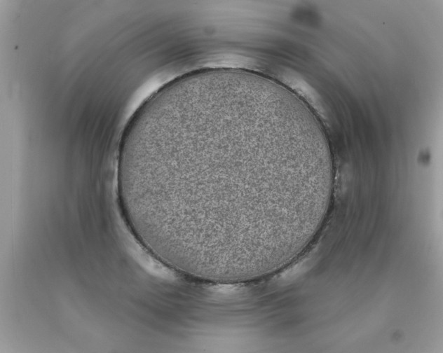 X0000090441130200707272149