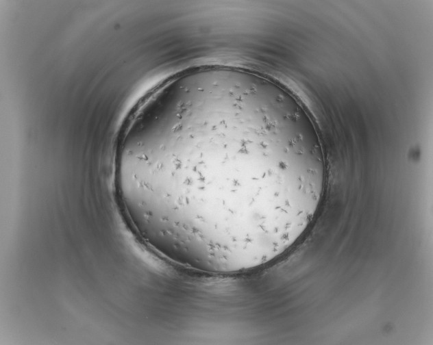 X0000090441131200707272149