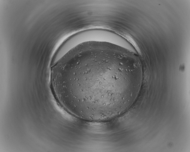 X0000090441132200707272149