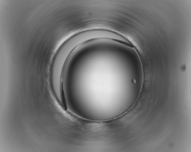 X0000090441134200707272149