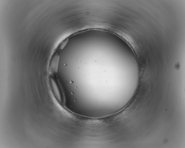 X0000090441135200707272149