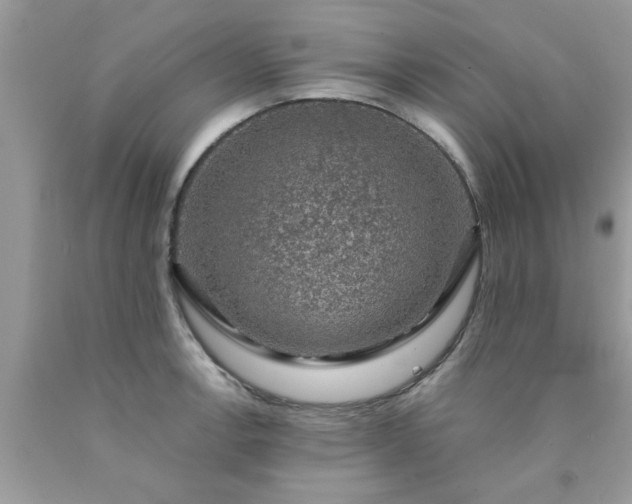 X0000090441138200707272149