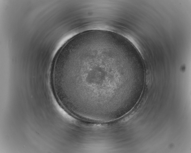 X0000090441139200707272149