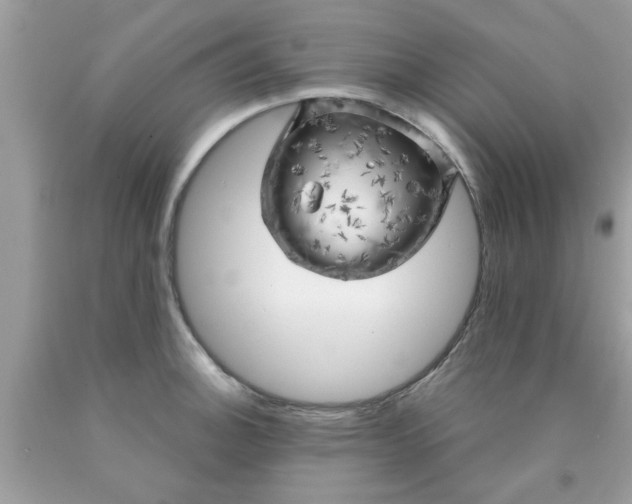 X0000090441140200707272149