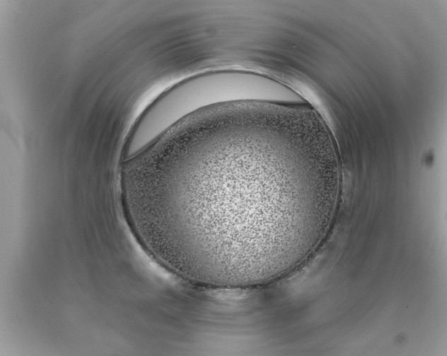 X0000090441141200707272149