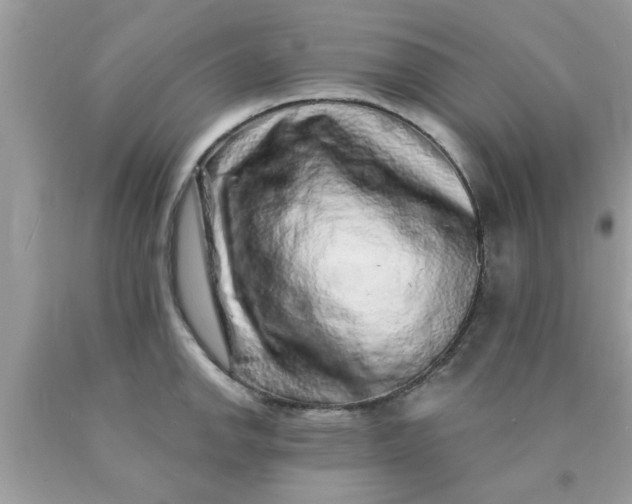 X0000090441142200707272149