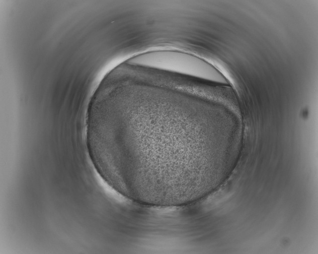 X0000090441143200707272149