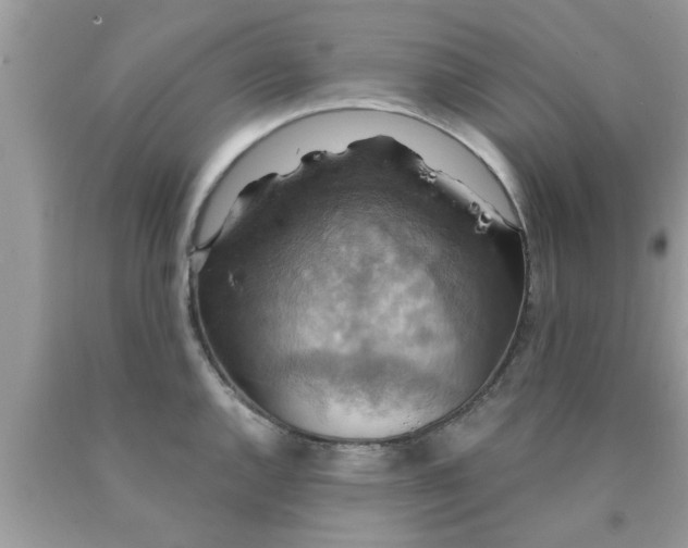 X0000090441144200707272149