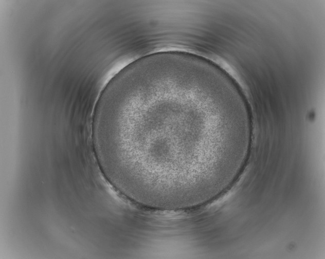 X0000090441145200707272149