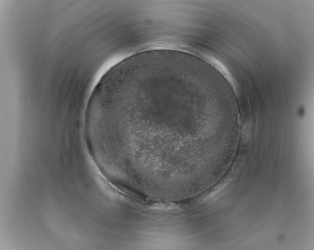 X0000090441146200707272149