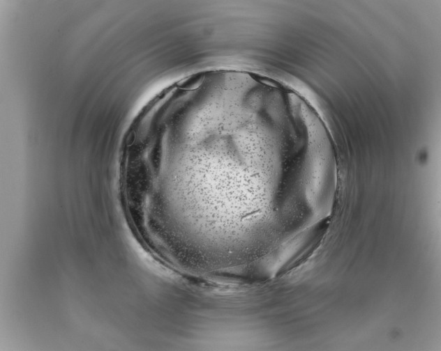 X0000090441147200707272149