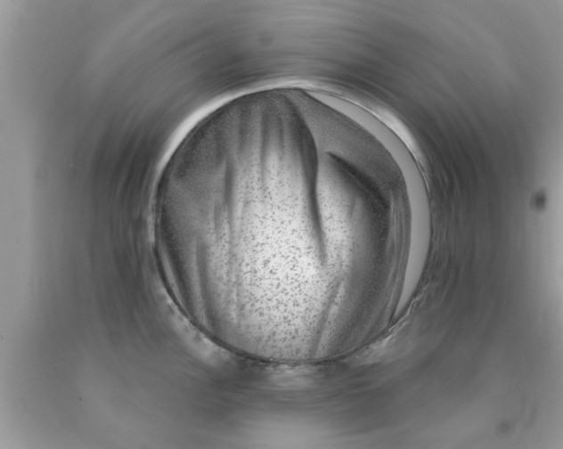 X0000090441148200707272149