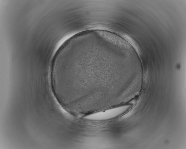 X0000090441149200707272149