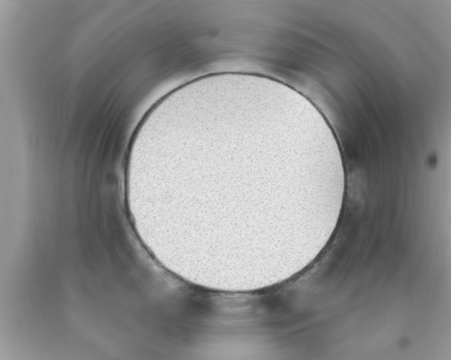 X0000090441150200707272149