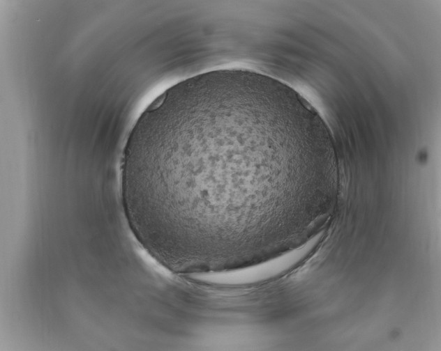 X0000090441151200707272149