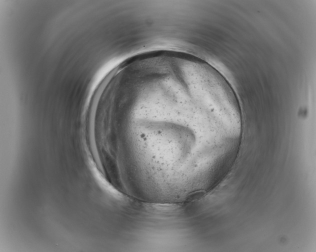 X0000090441152200707272149