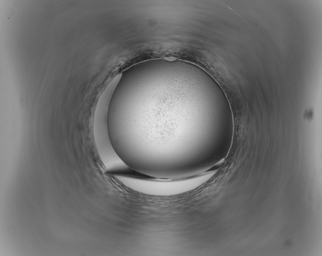 X0000090441153200707272148