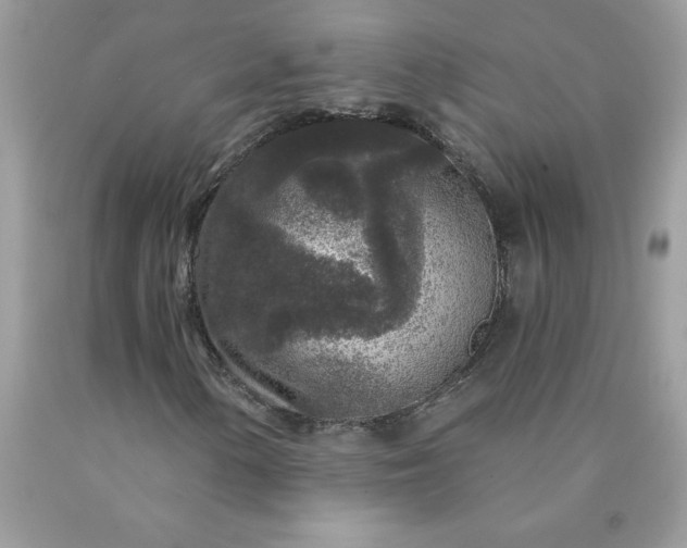 X0000090441154200707272148