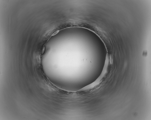 X0000090441155200707272148