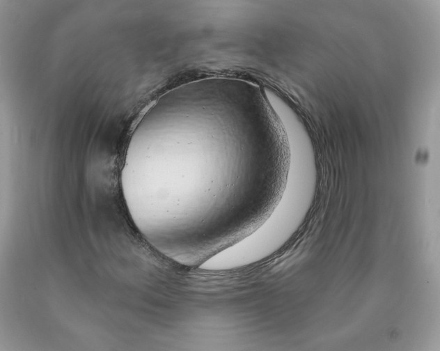 X0000090441156200707272148