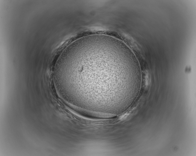 X0000090441157200707272148