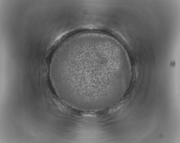 X0000090441158200707272148