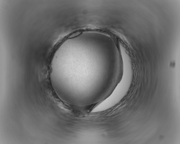 X0000090441160200707272148