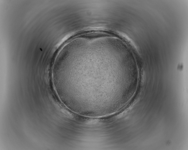 X0000090441162200707272148