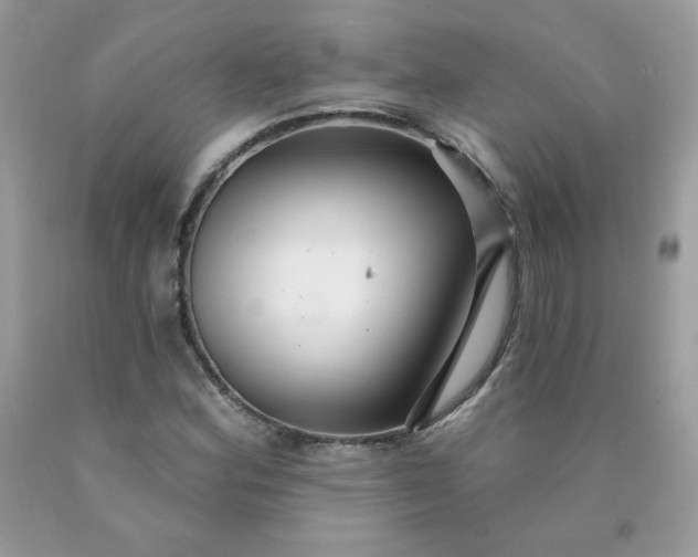 X0000090441164200707272148